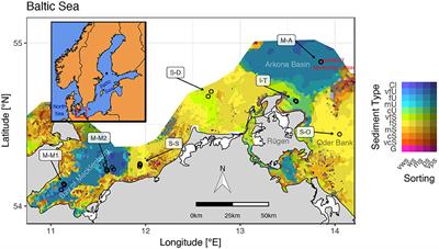 Solute Reservoirs Reflect Variability of Early Diagenetic Processes in Temperate Brackish Surface Sediments